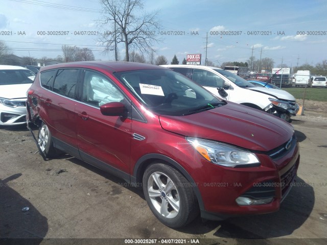 Ford Escape (2014)