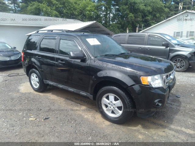 Ford Escape (2011)