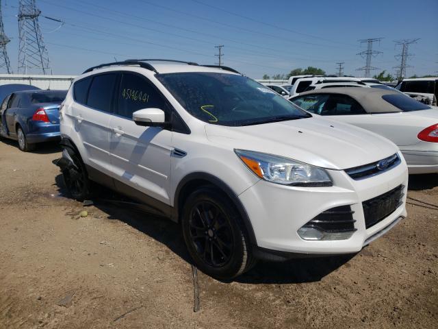 Ford Escape sel (2013)