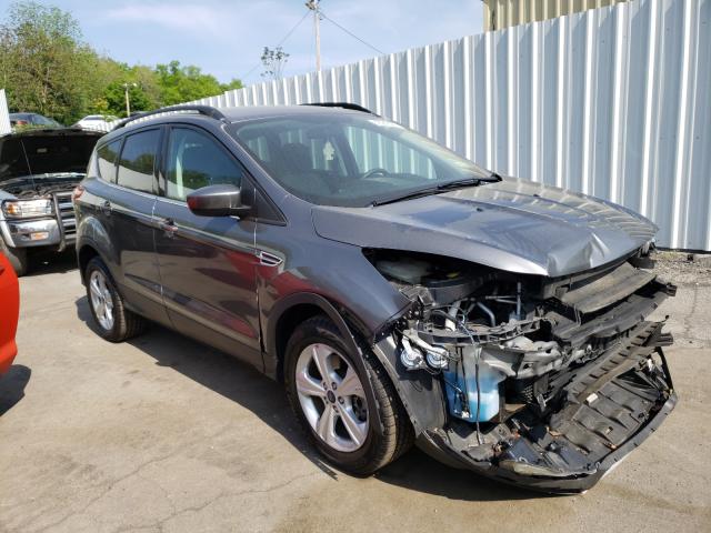 Ford Escape se (2014)