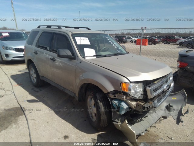 Ford Escape (2010)