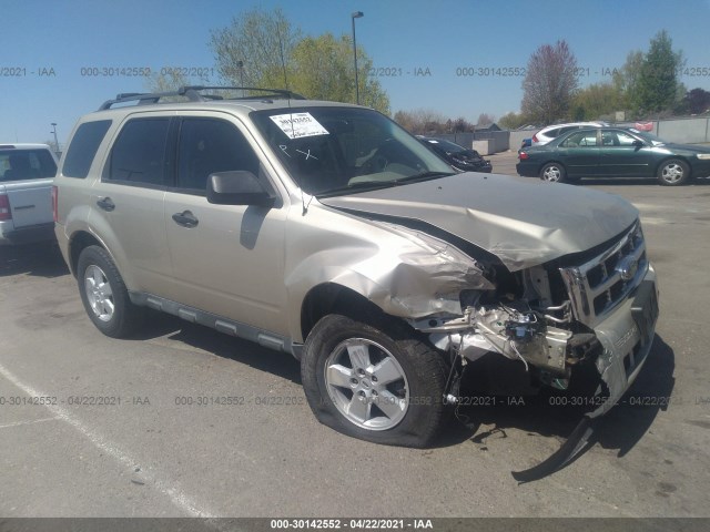 Ford Escape (2010)
