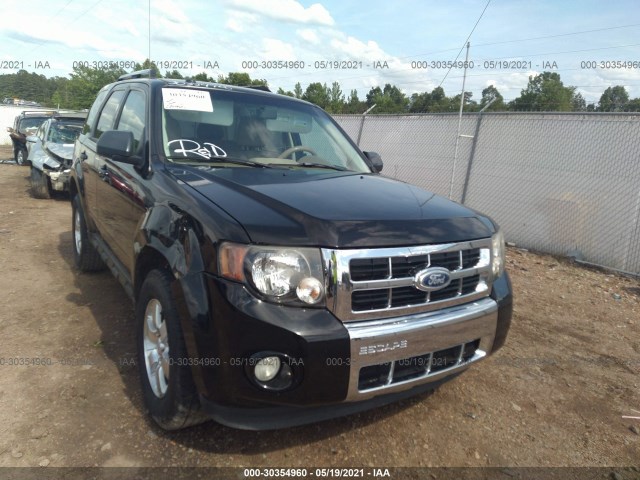 Ford Escape (2010)