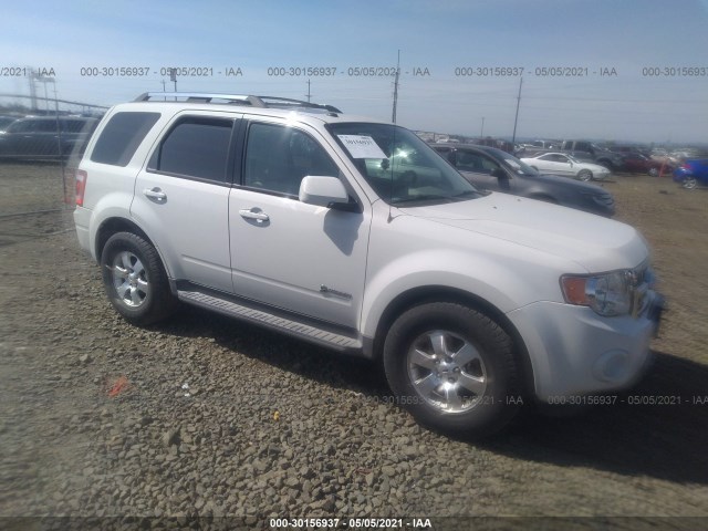Ford Escape (2010)
