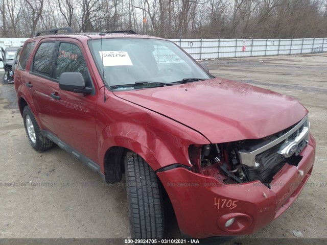 Ford Escape (2010)