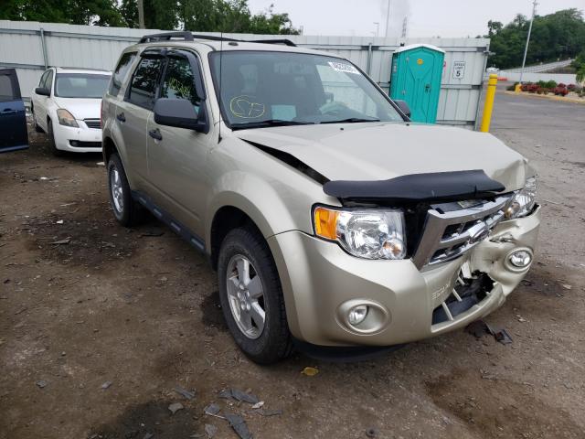 Ford Escape xlt (2010)