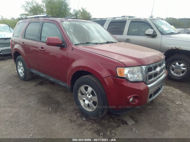 Ford Escape (2011)