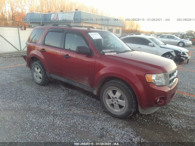 Ford Escape (2012)