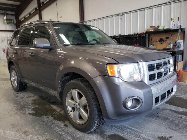 Ford Escape (2012)