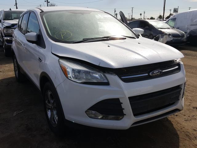 Ford Escape se (2014)