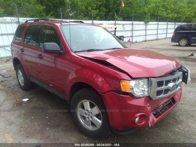 Ford Escape (2010)