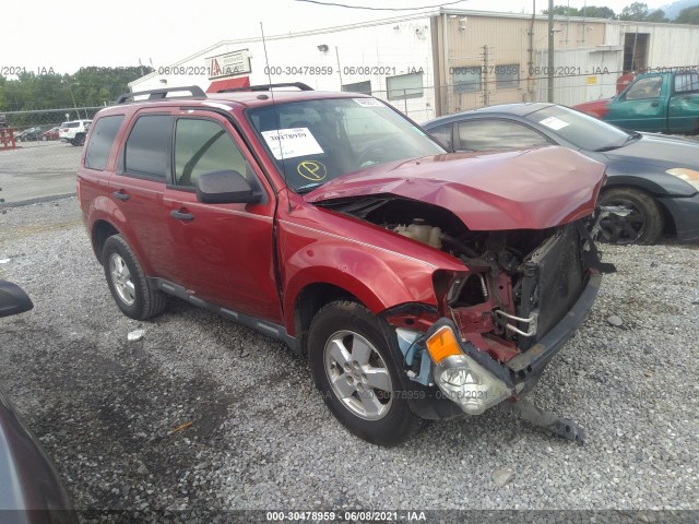 Ford Escape (2010)