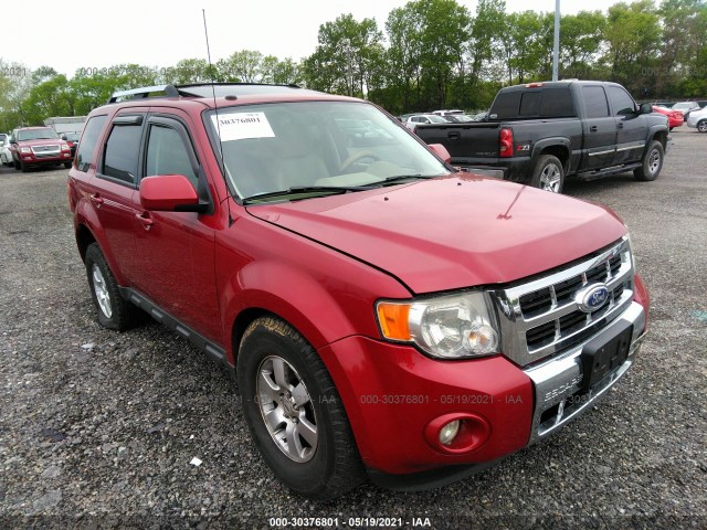 Ford Escape (2010)