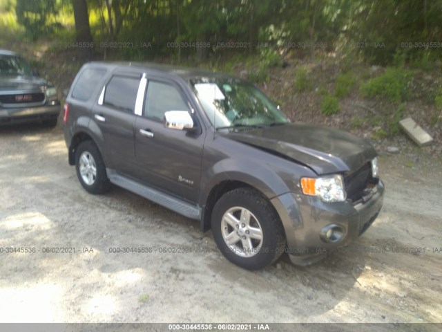 Ford Escape (2011)