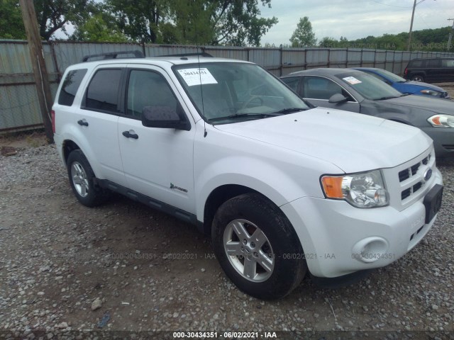 Ford Escape (2011)