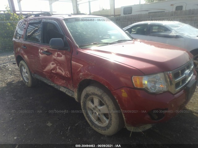 Ford Escape (2011)