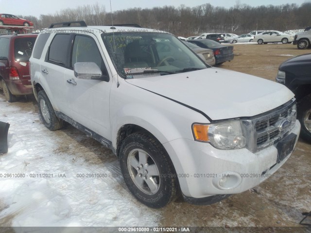 Ford Escape (2011)