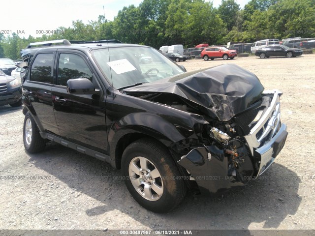 Ford Escape (2011)
