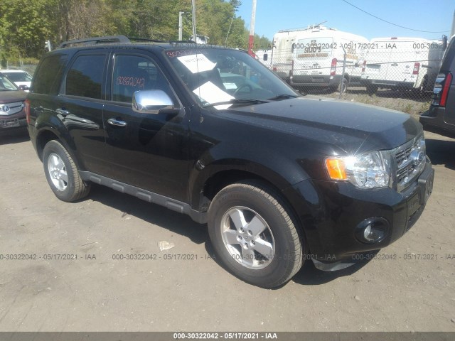 Ford Escape (2012)