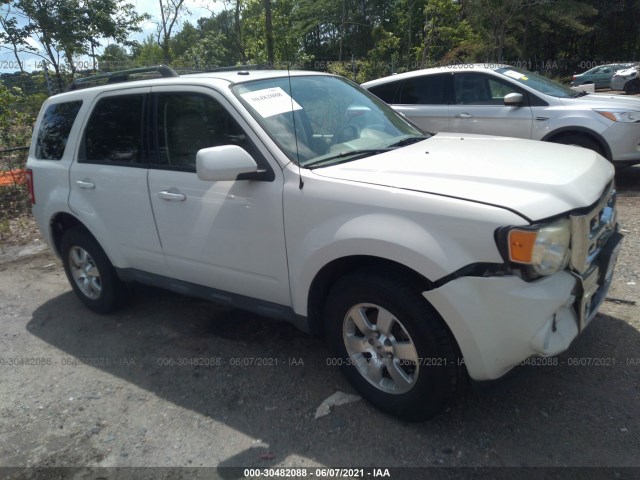 Ford Escape (2010)