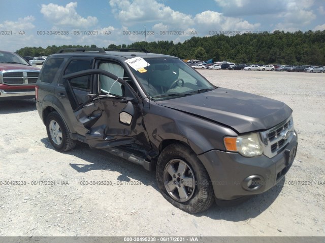 Ford Escape (2010)