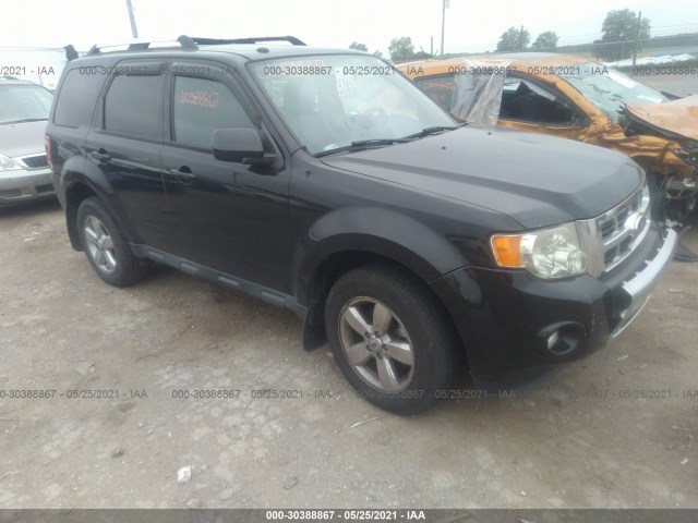 Ford Escape (2010)
