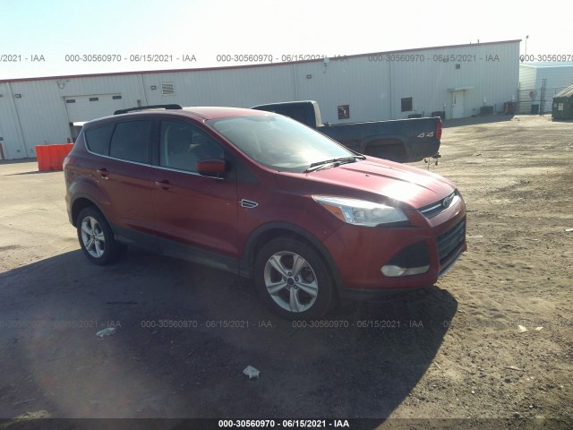 Ford Escape (2014)