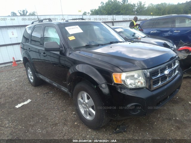 Ford Escape (2010)