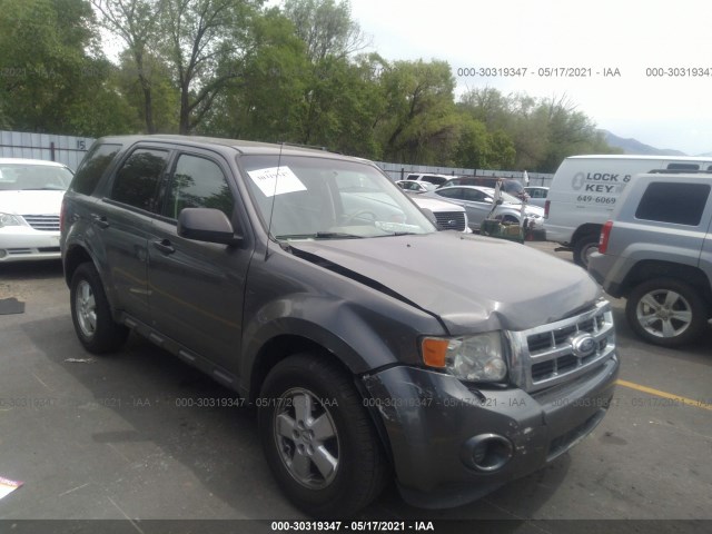 Ford Escape (2011)