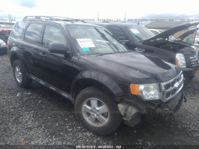 Ford Escape (2011)