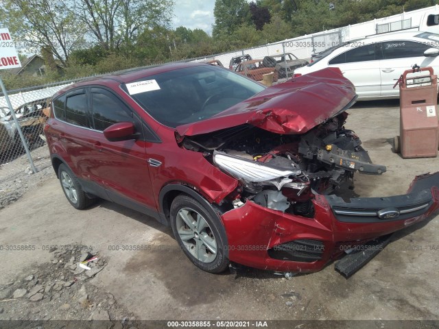 Ford Escape (2014)
