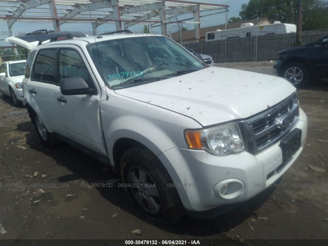 Ford Escape (2010)