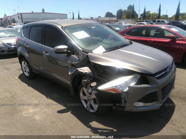 Ford Escape (2014)