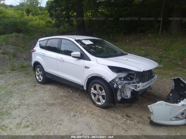 Ford Escape (2015)