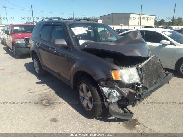 Ford Escape (2010)