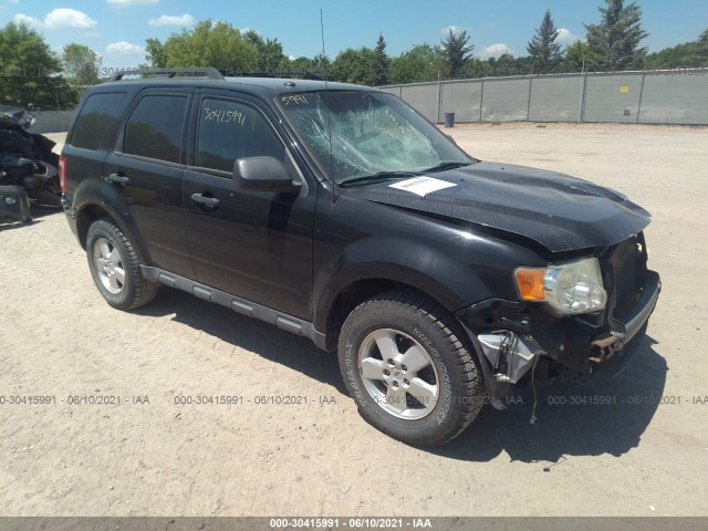 Ford Escape (2010)