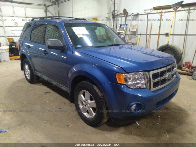 Ford Escape (2010)