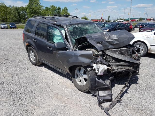 Ford Escape xlt (2010)
