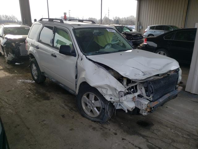 Ford Escape xlt (2010)