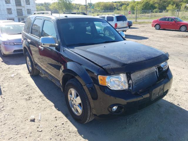 Ford Escape xlt (2010)