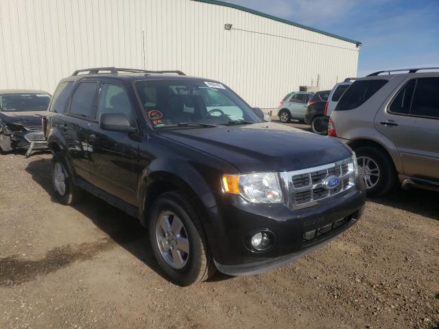 Ford Escape xlt (2011)
