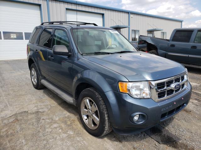 Ford Escape xlt (2011)