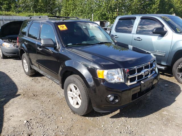 Ford Escape xlt (2011)
