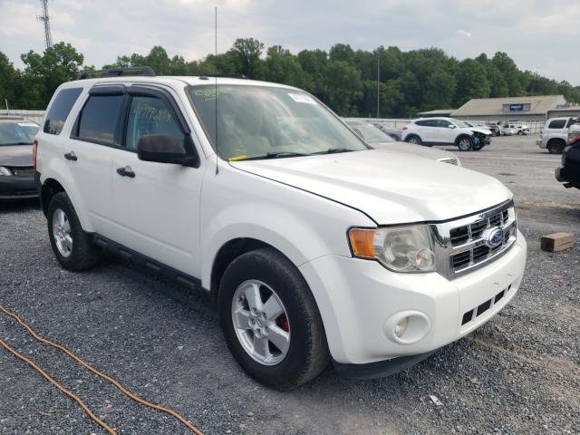 Ford Escape xlt (2012)