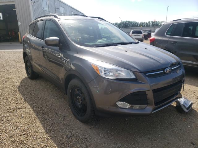 Ford Escape se (2013)