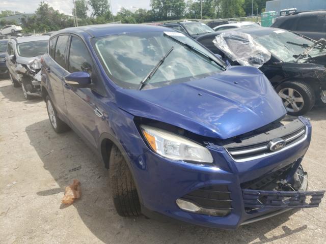 Ford Escape sel (2013)