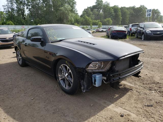 Ford Mustang gt (2013)
