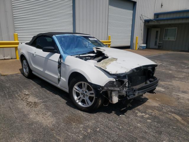 Ford Mustang (2014)