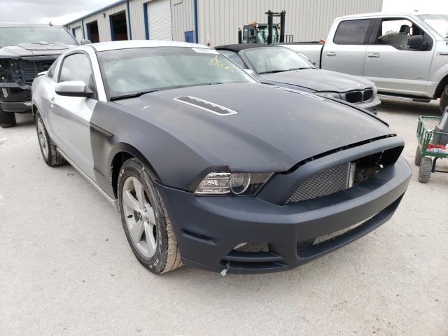 Ford Mustang gt (2014)