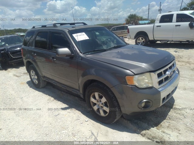 Ford Escape (2011)